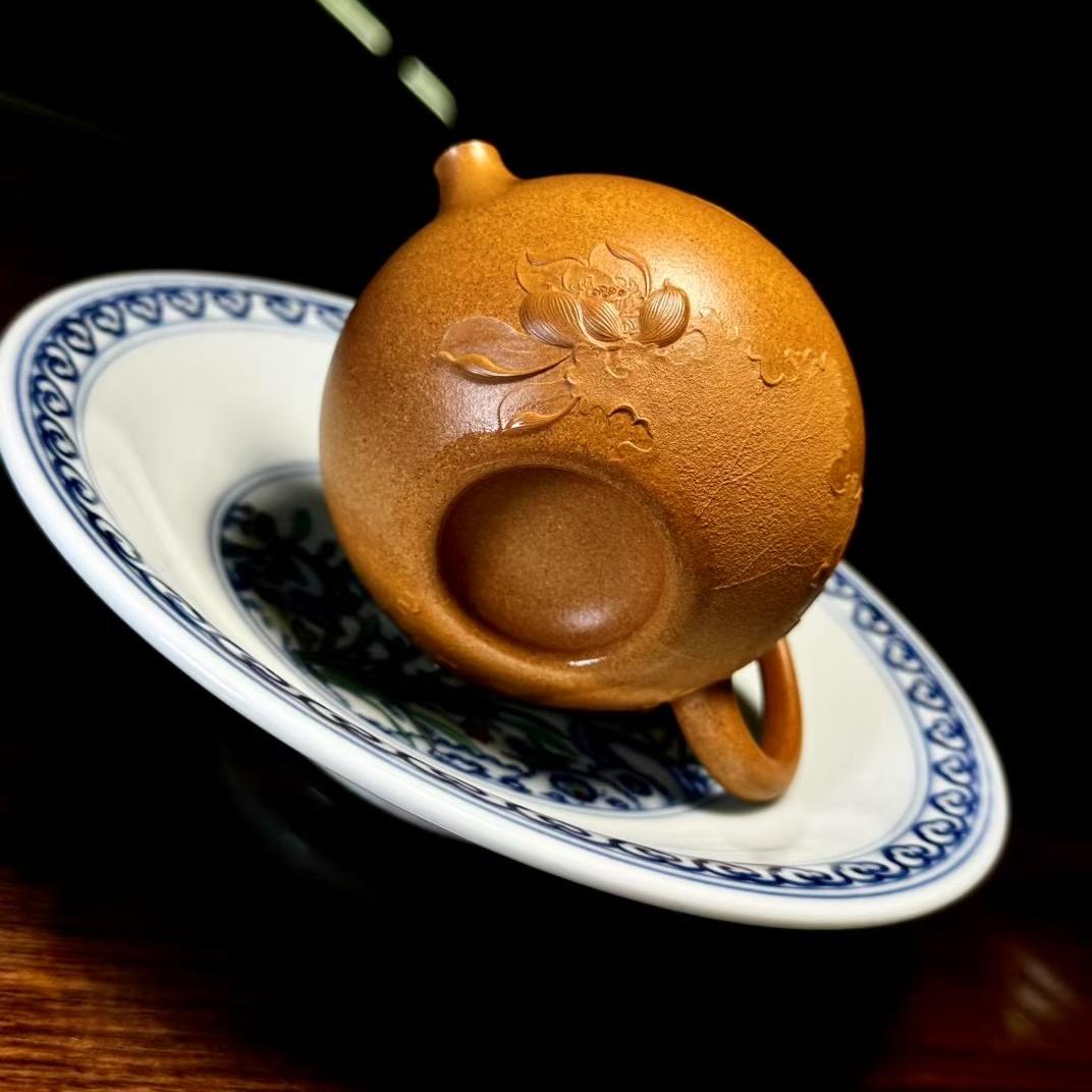 杯里杯器官方店