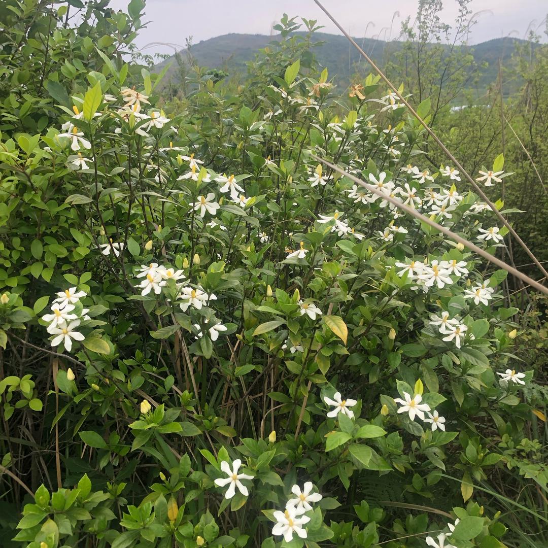 悠悠「进群看主页」