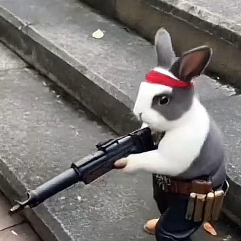 拳击馆的兔子叫斑斑