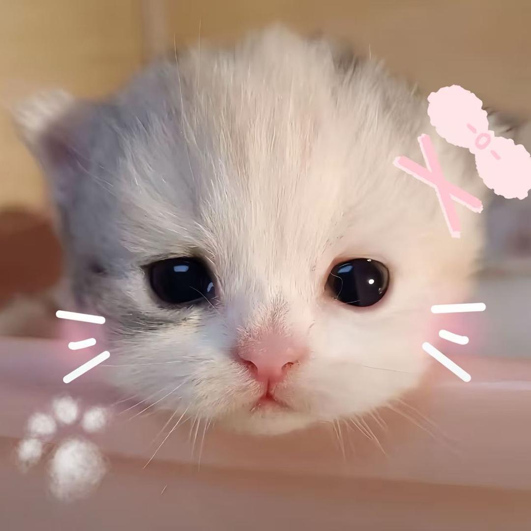 想吃桃.