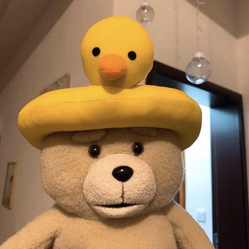 小田还没瘦下来🧸