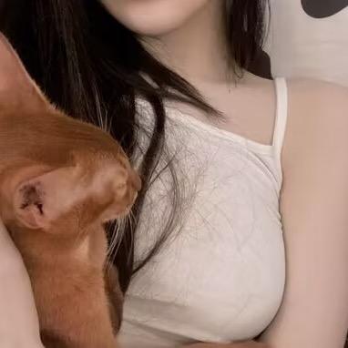 狐狐
