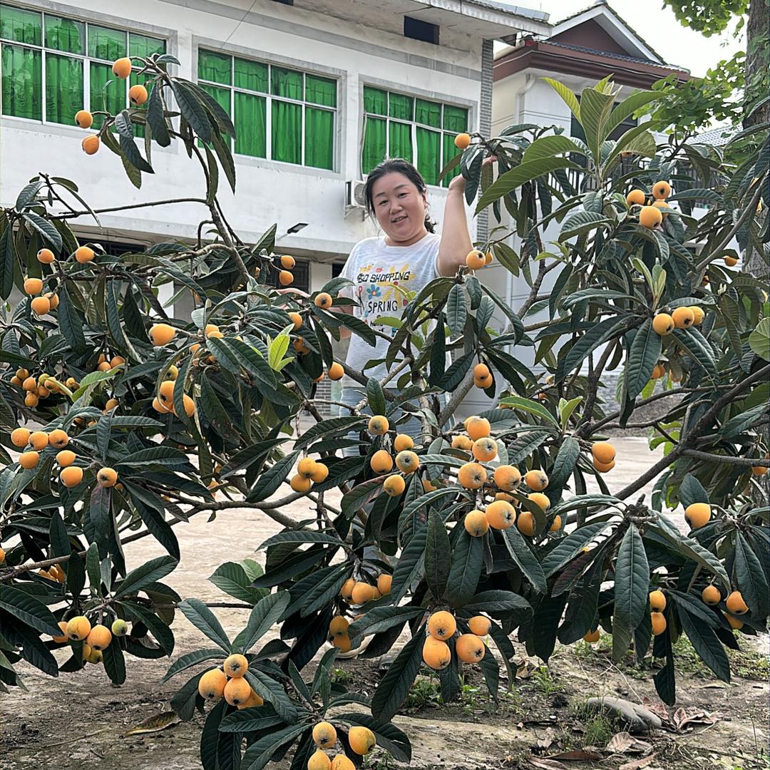 田砍砍上打滑农副产品
