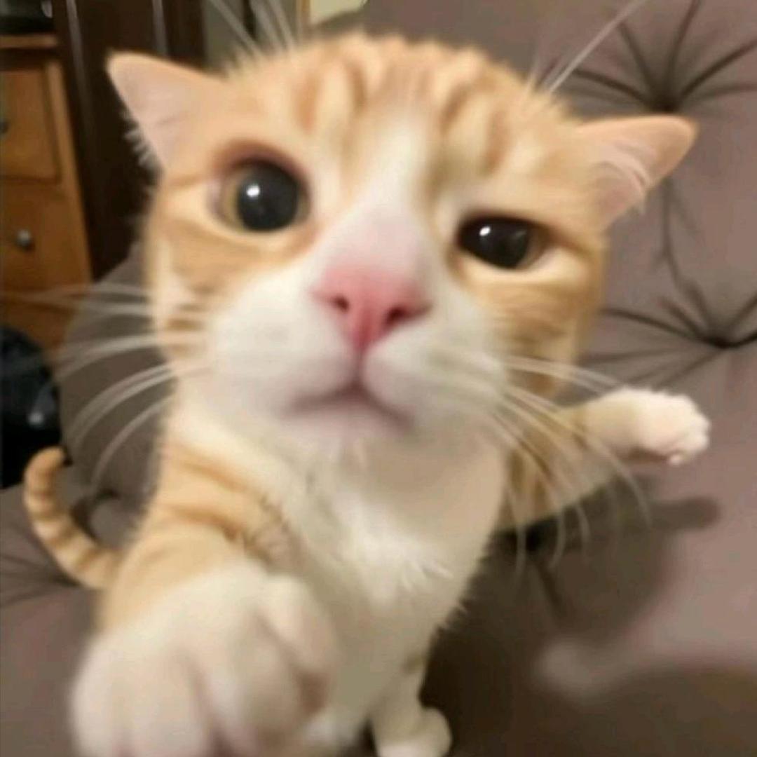 熳