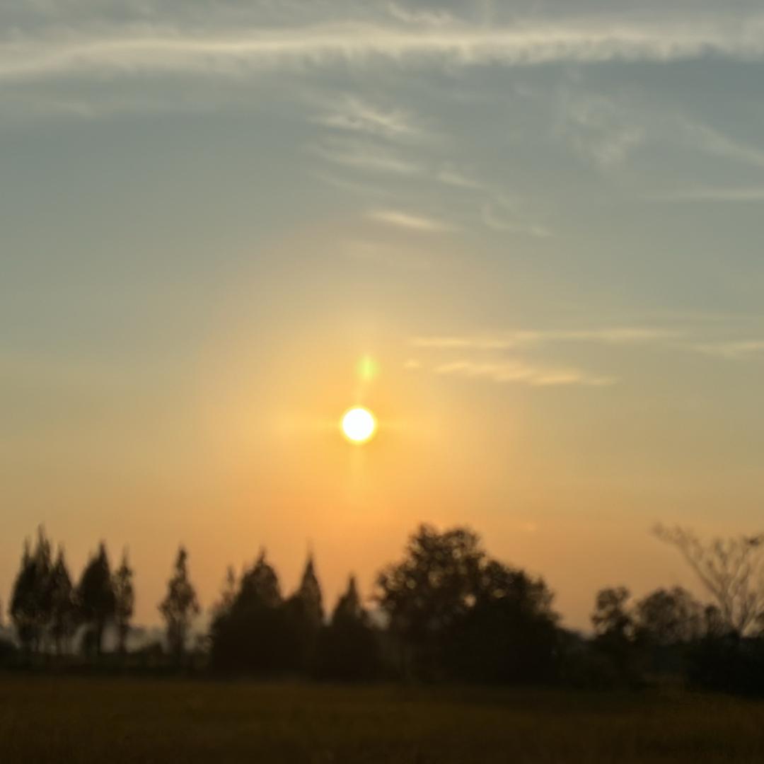 人间清醒