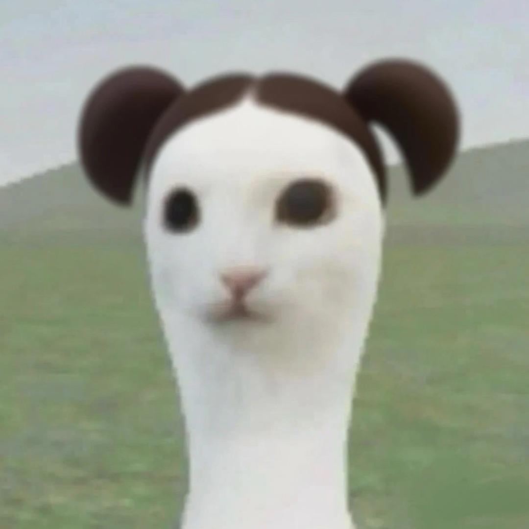 宋cc