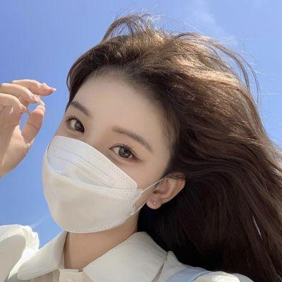 梦乐