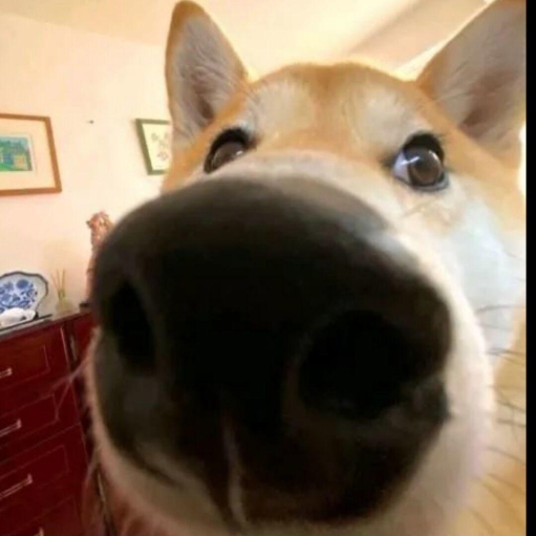 十七🤡