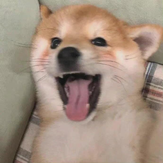 天真的只有你