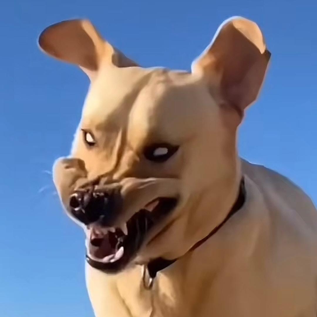 终会醒.