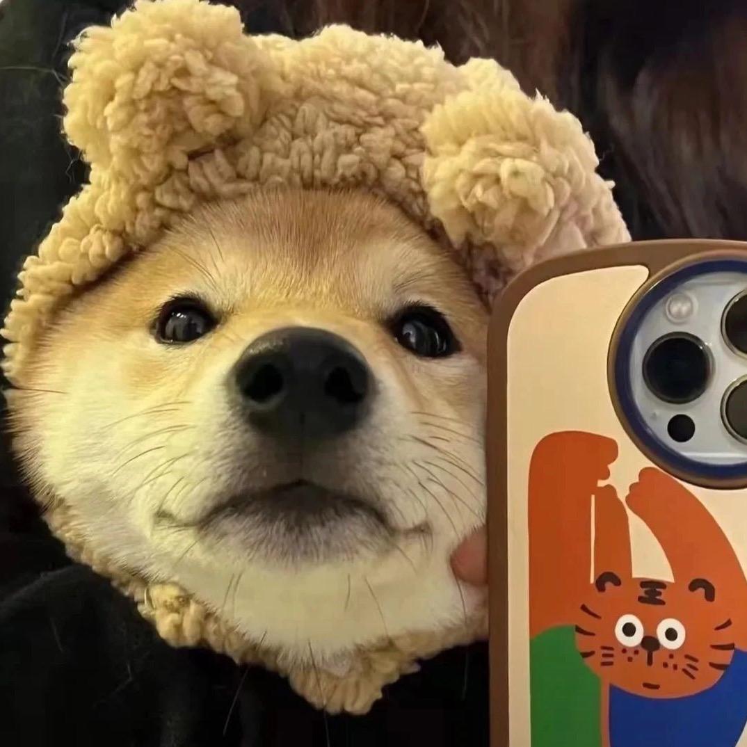 可乐不加🧊