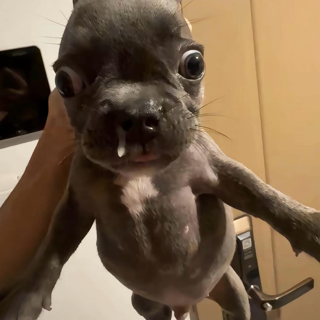 坚决不再丢三落四