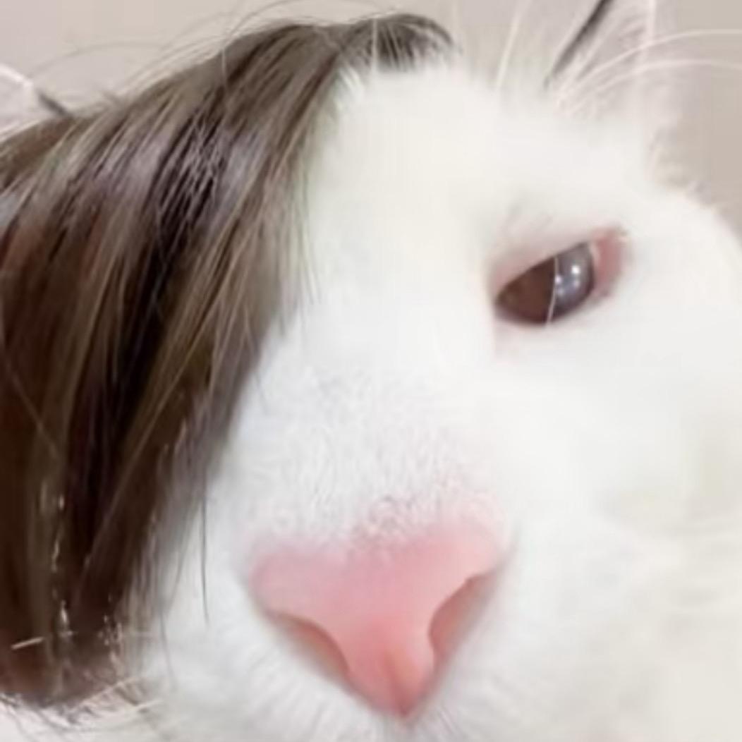 王刚留下其他的出去