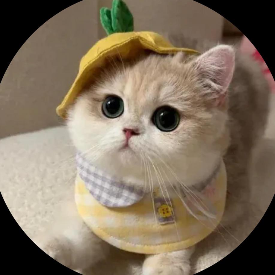 冰糖葫芦_Sweet
