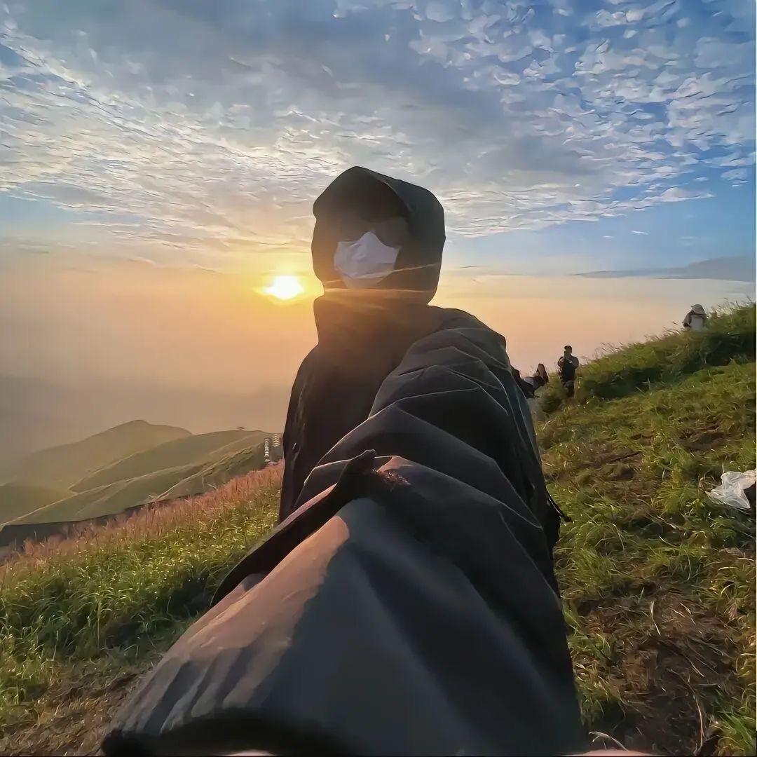 何必等秋落叶
