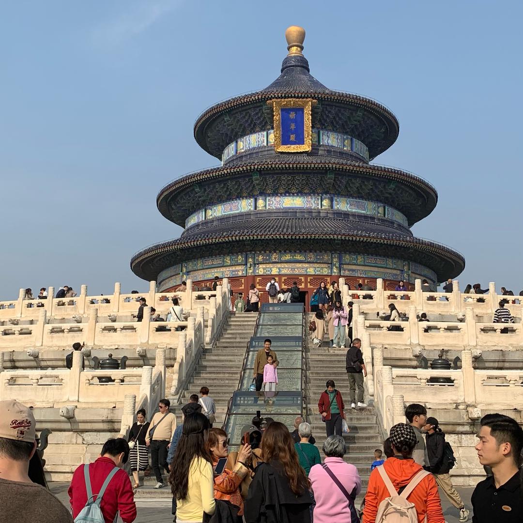 在京行走的小元宝