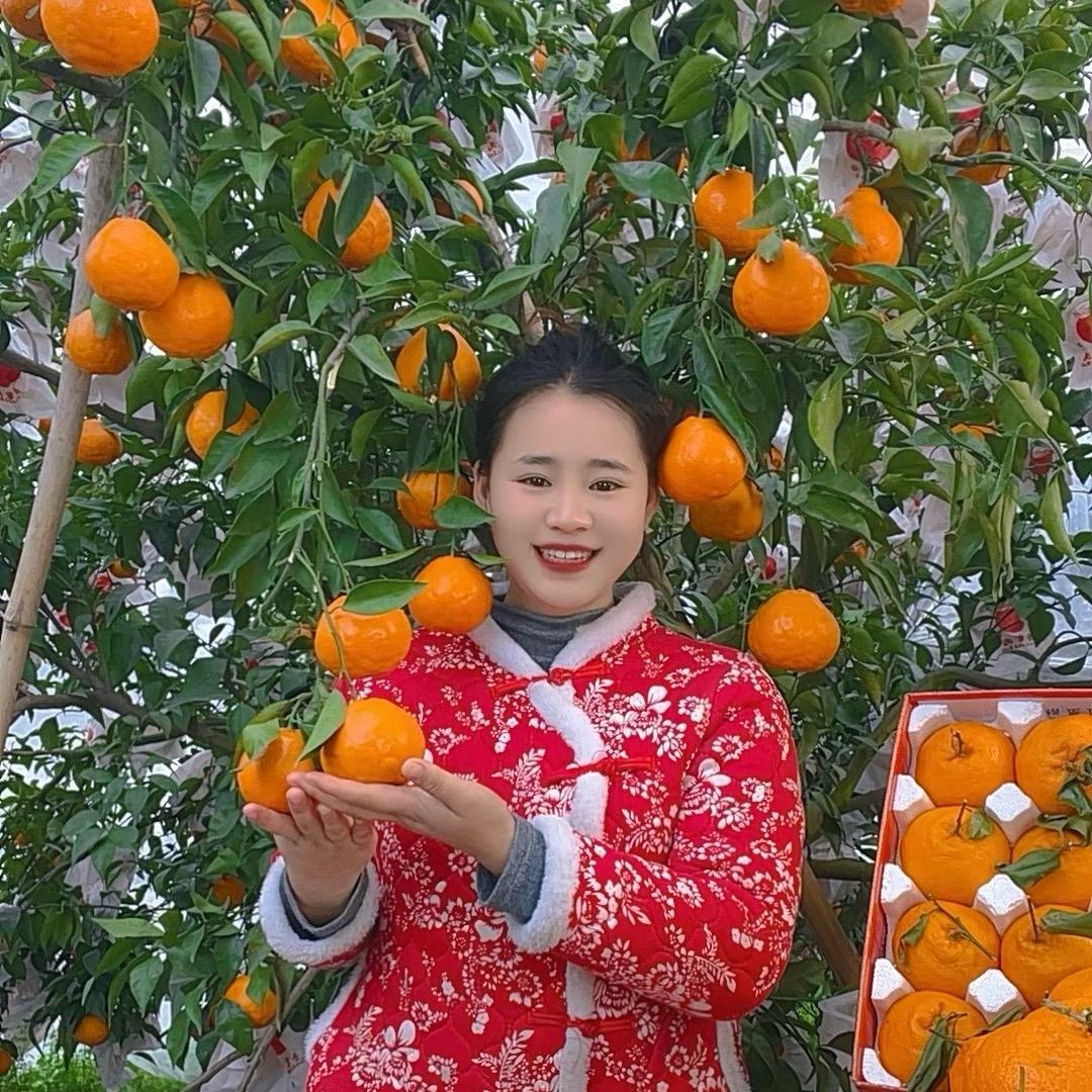俊菲