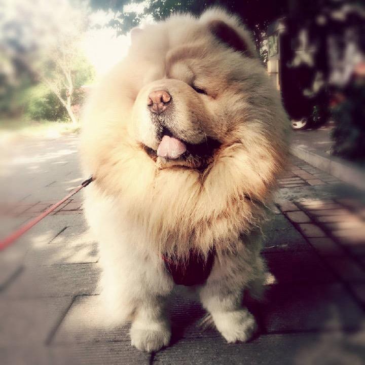 冉小然
