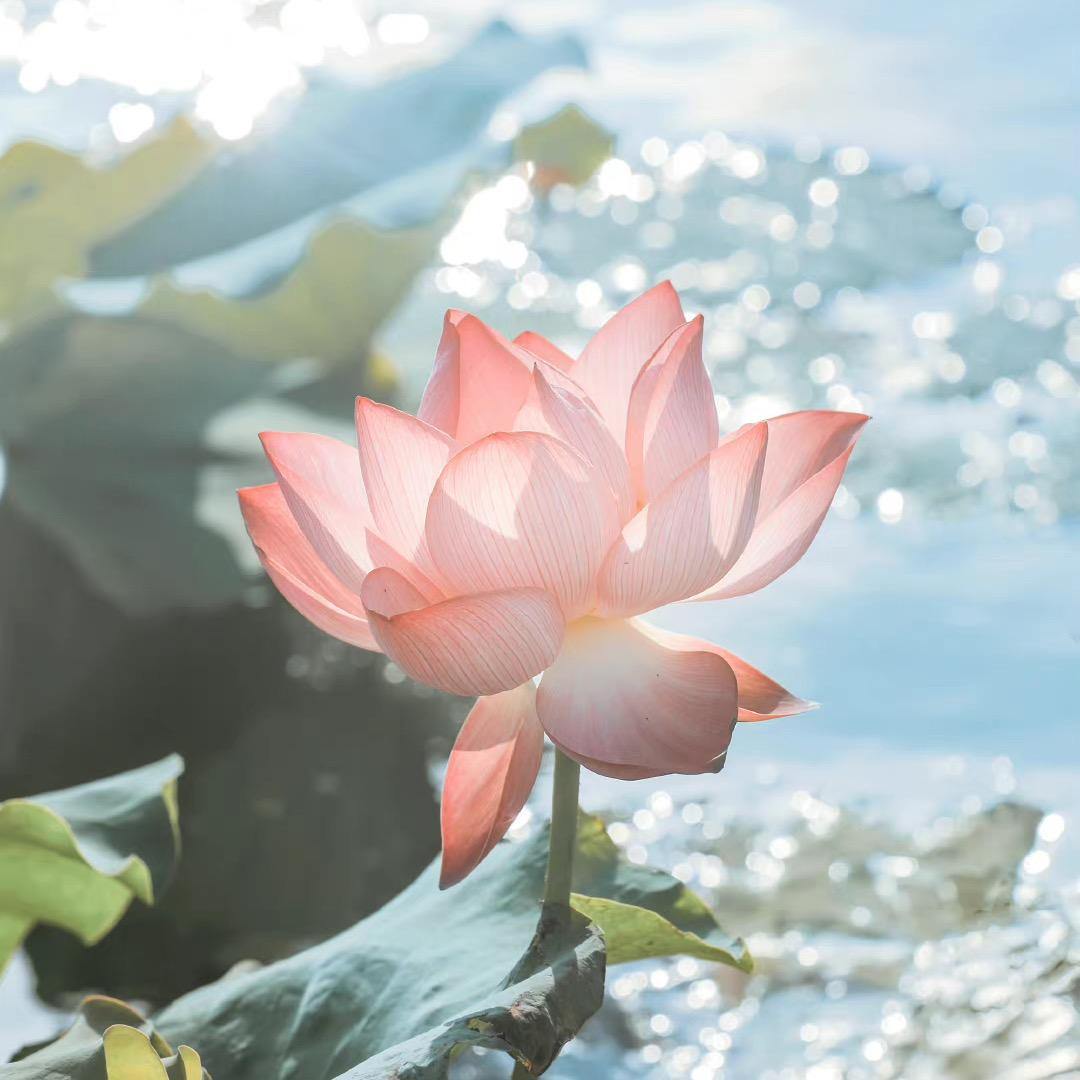 溪暮