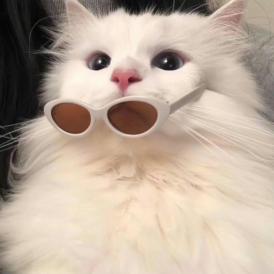好多金✨