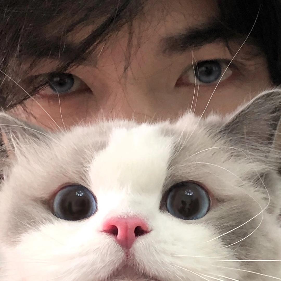 小黄同志（集A6碎片版）