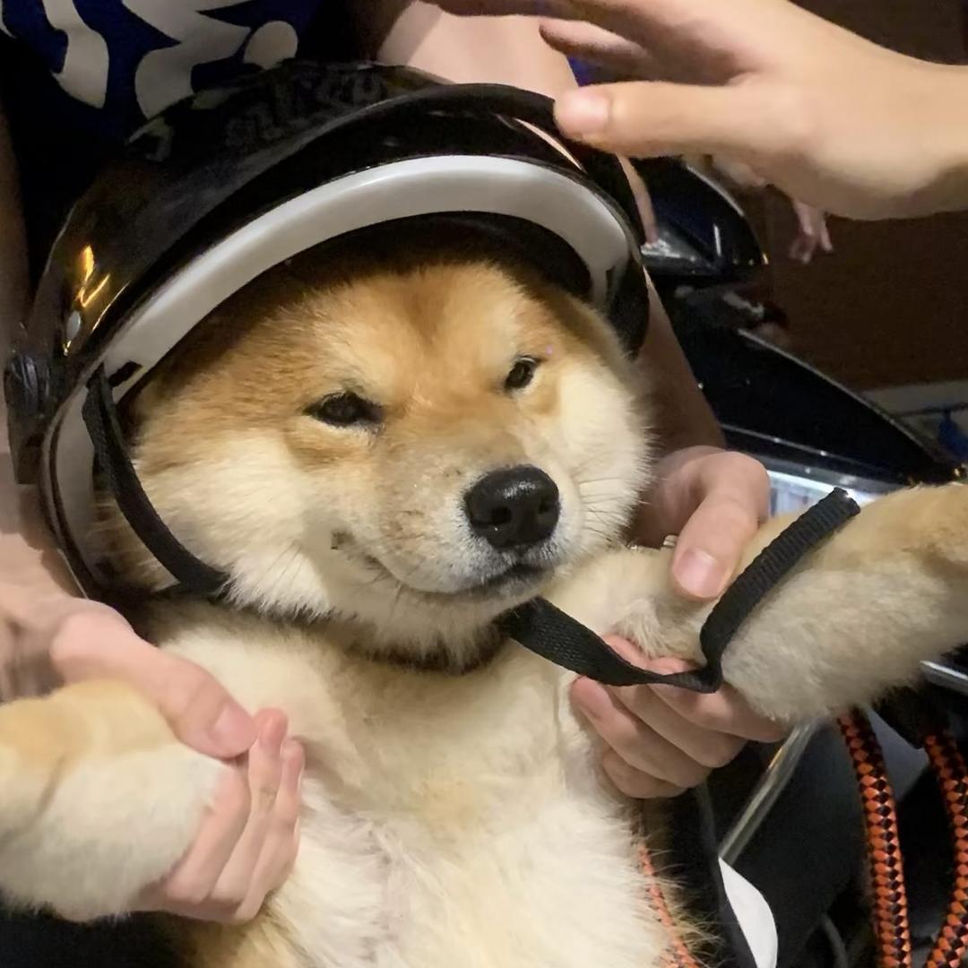 禹臣