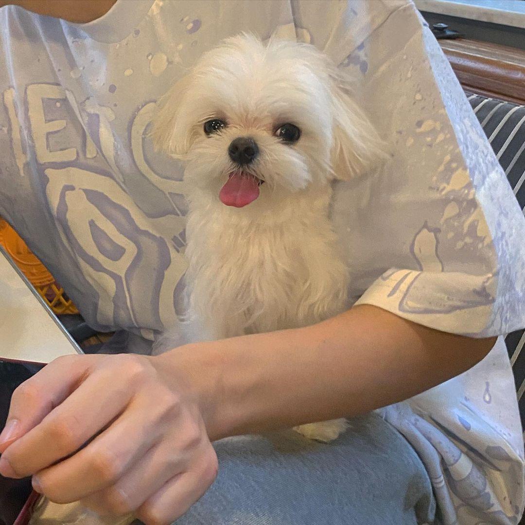 不准看我头像