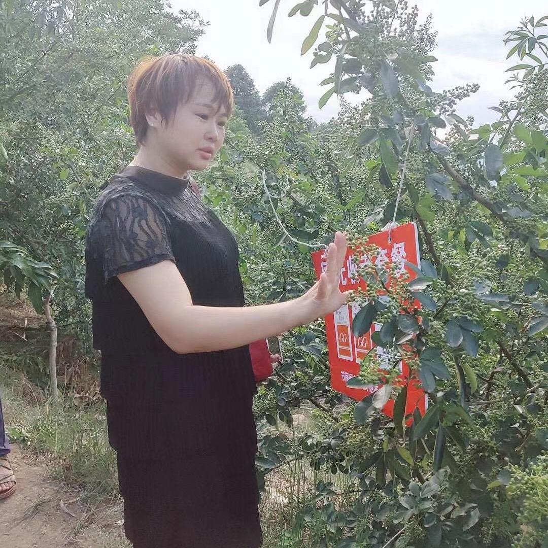 鑫益农资青姐