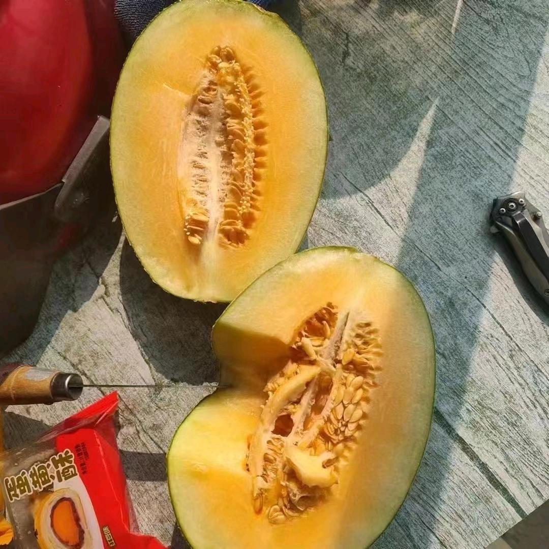 哈密瓜🍈代办