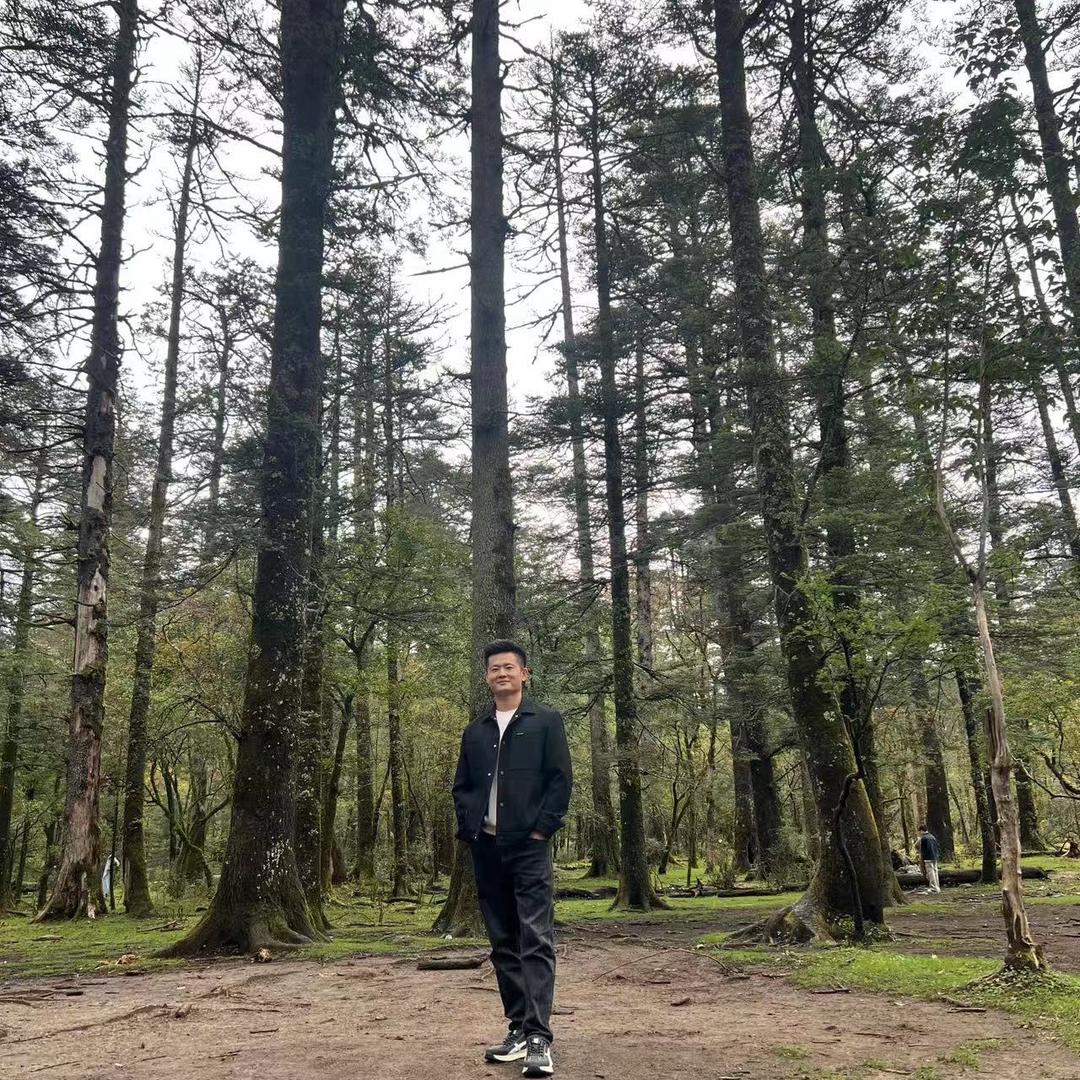 森林🌳
