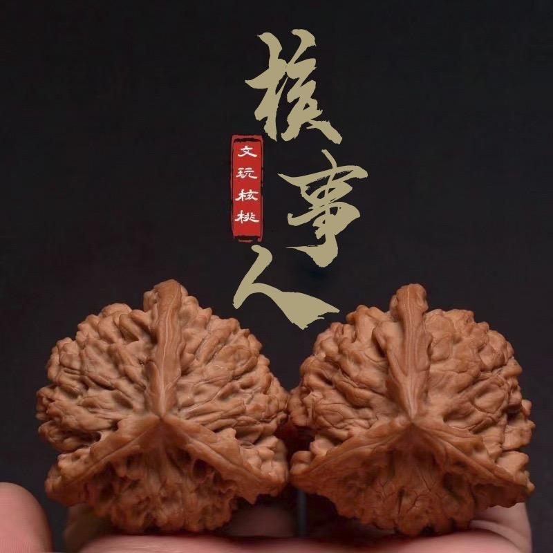 核事人刘宏亮