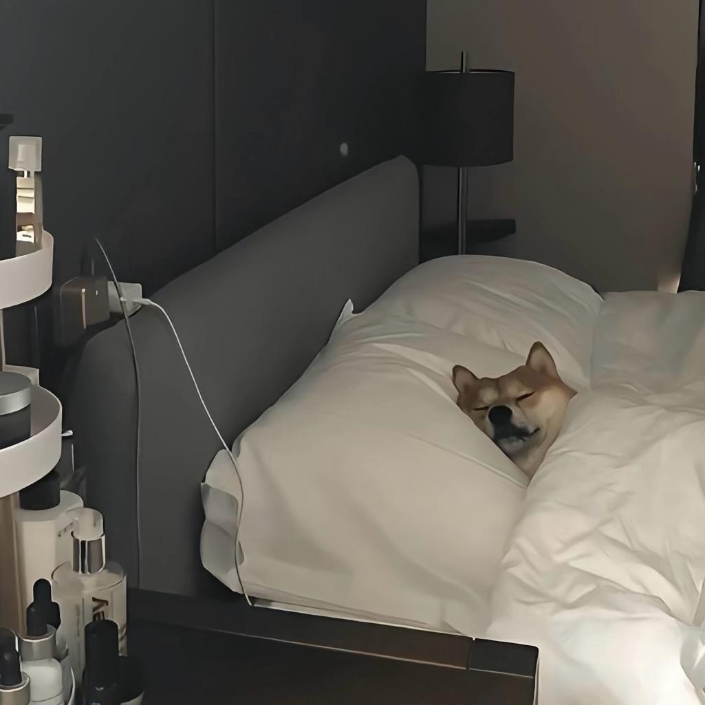 一口吃不饱😴