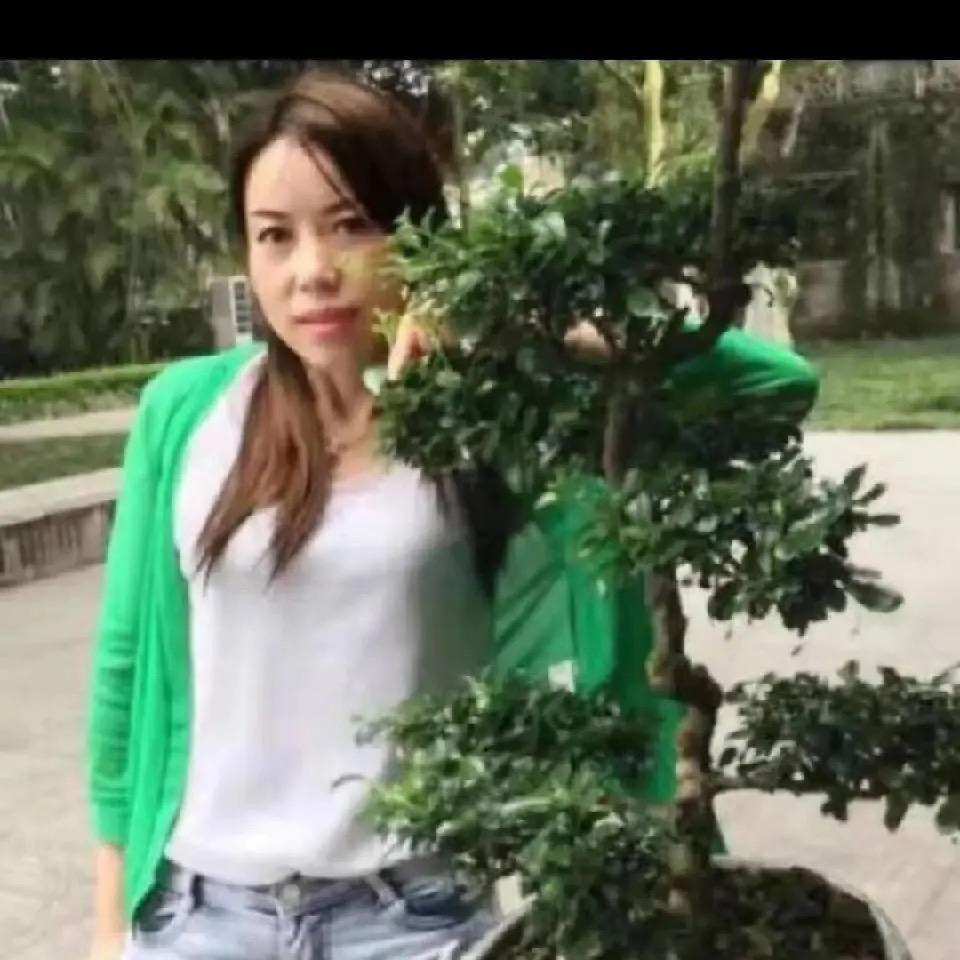杨娟