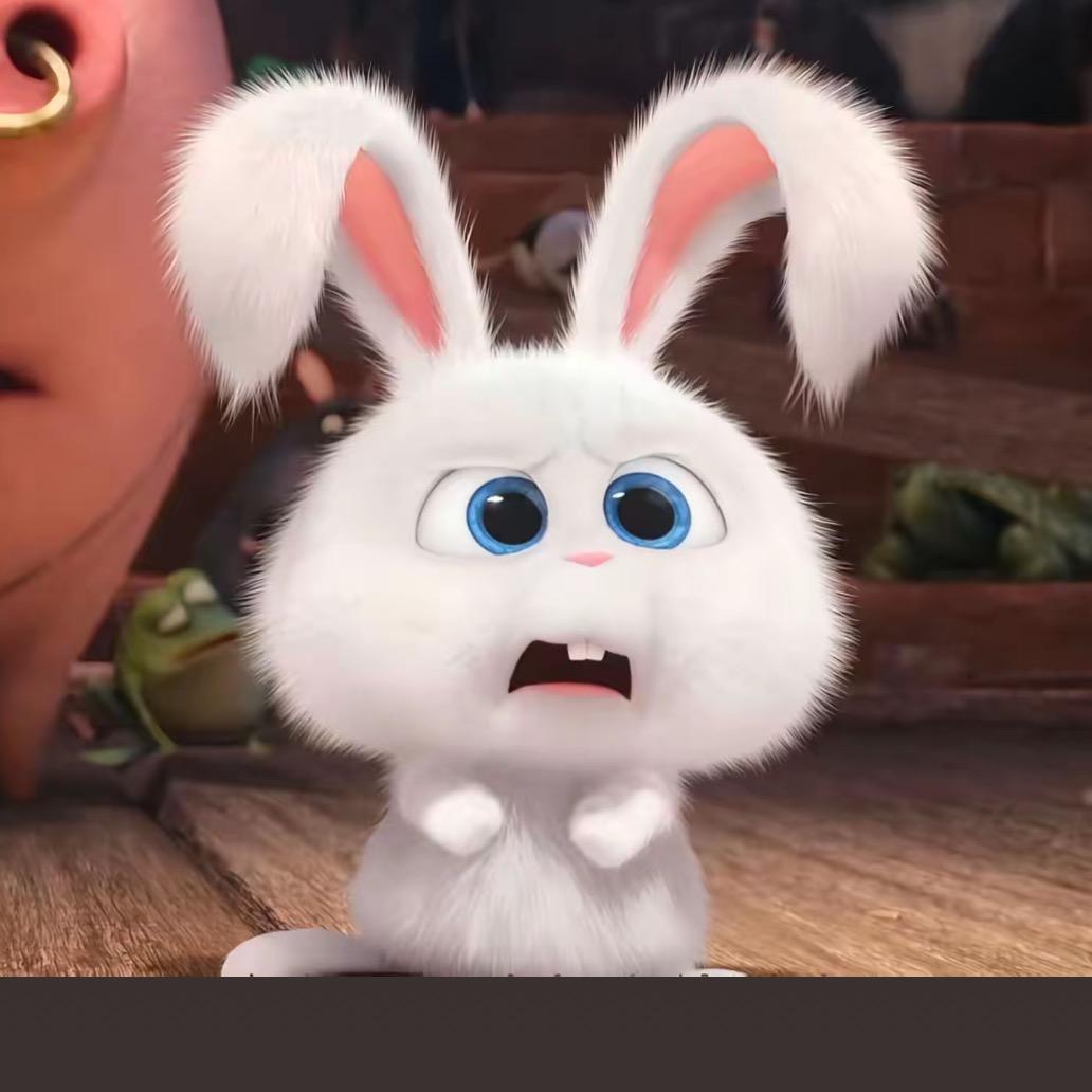 麻辣兔头🐰