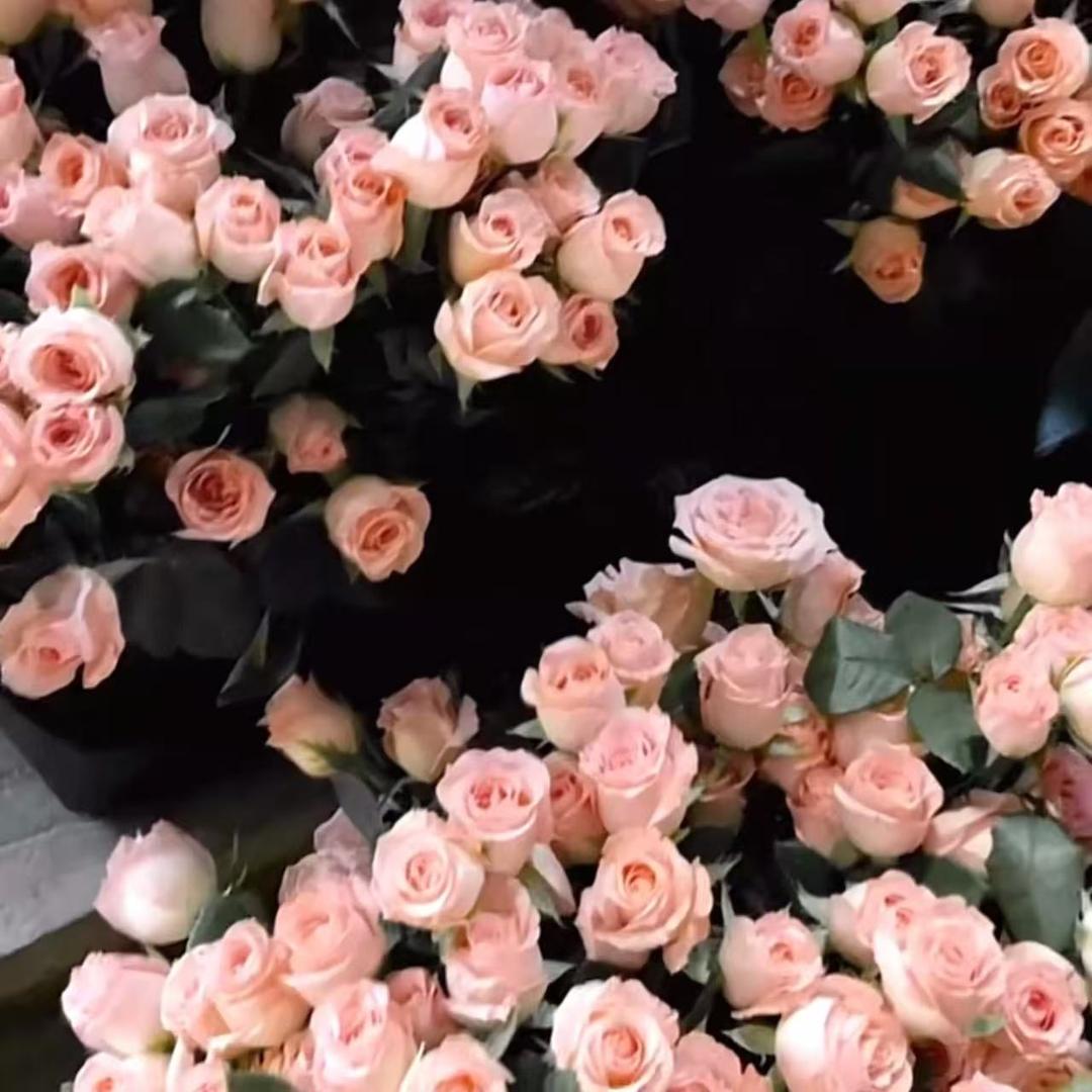 花仙子家居服