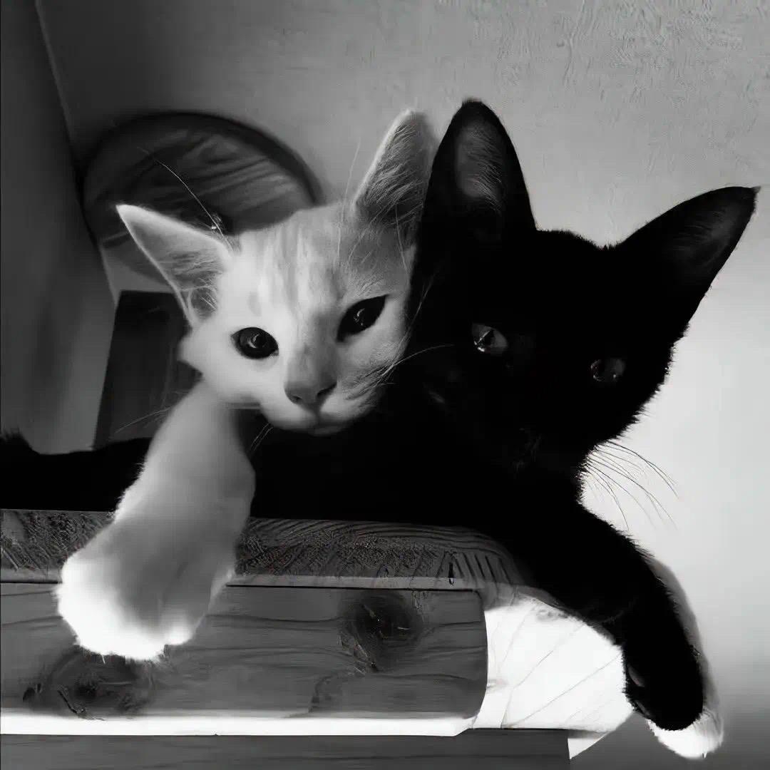 𝙞𝙞𝗼^