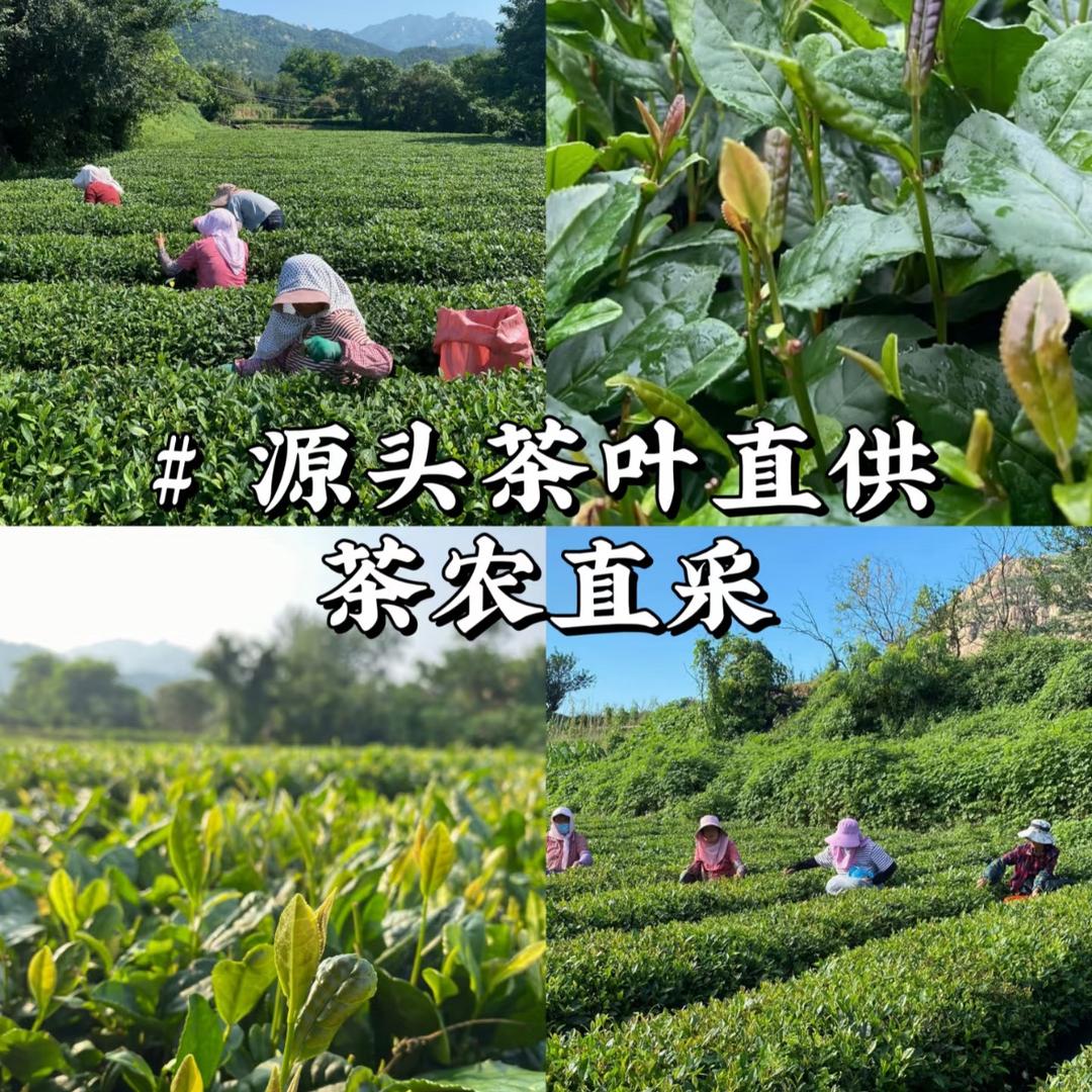 欣然茶市