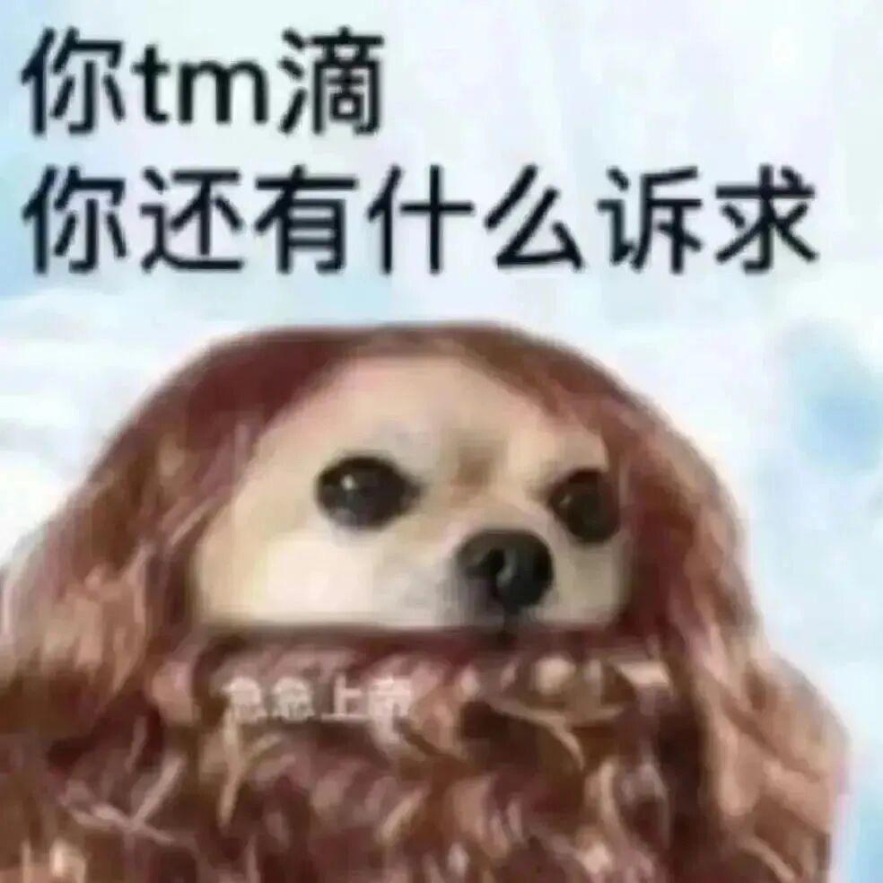 又怎么了我的大小姐