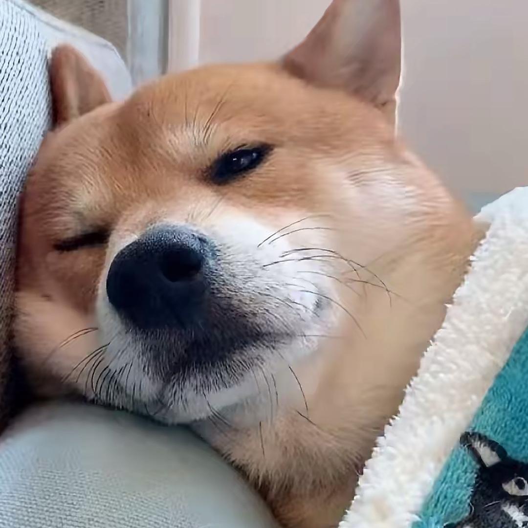 ㅤ⠀