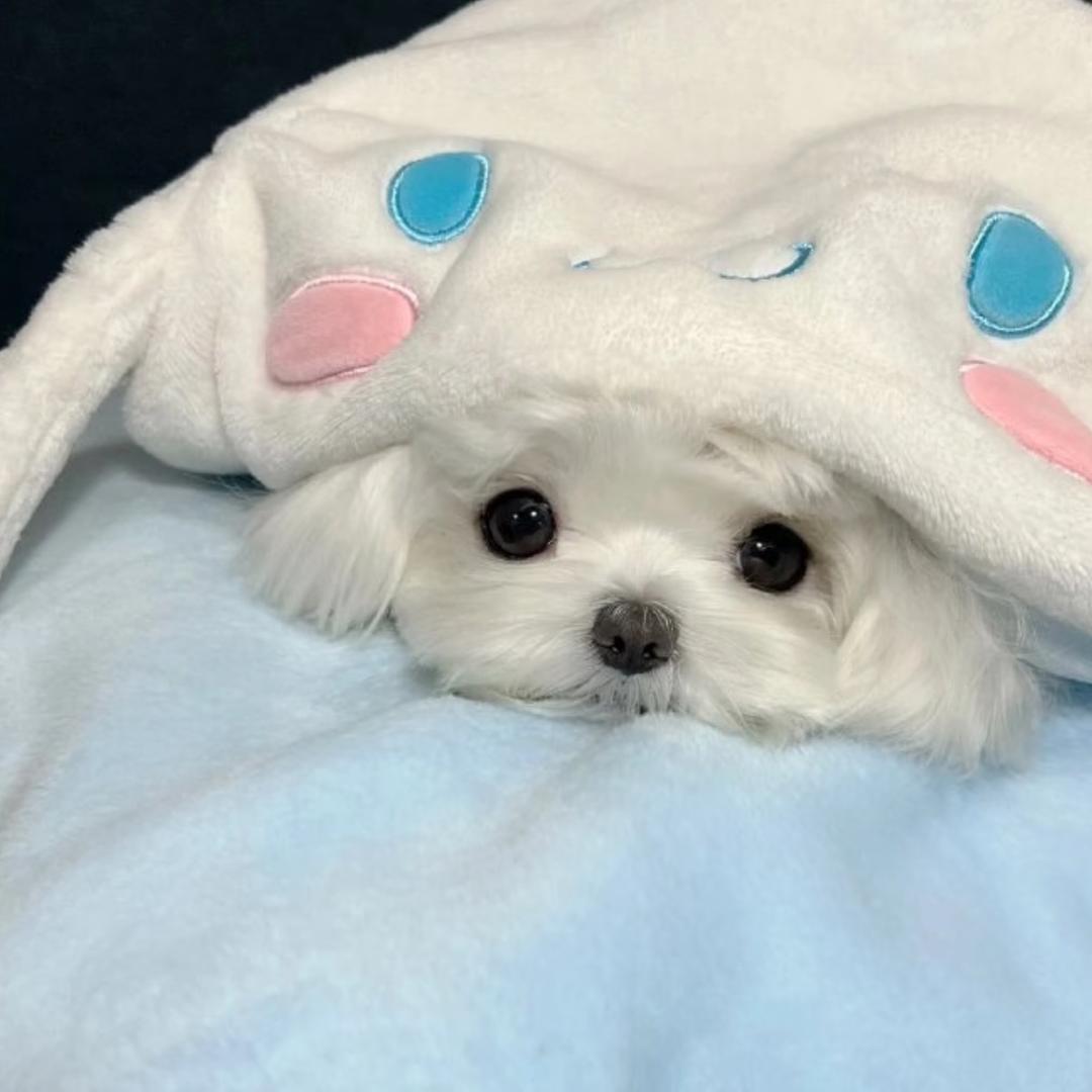 ✌︎•᷄ࡇ•᷅