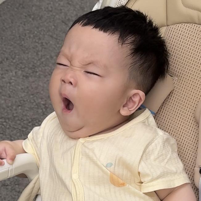 政里政气的谭小总