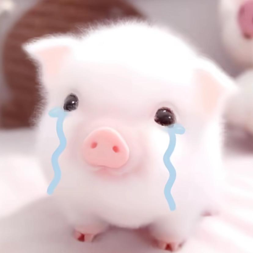 甜不甜.