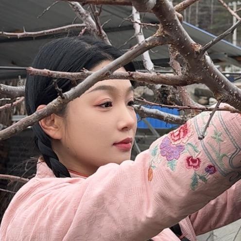 东北婉妹儿