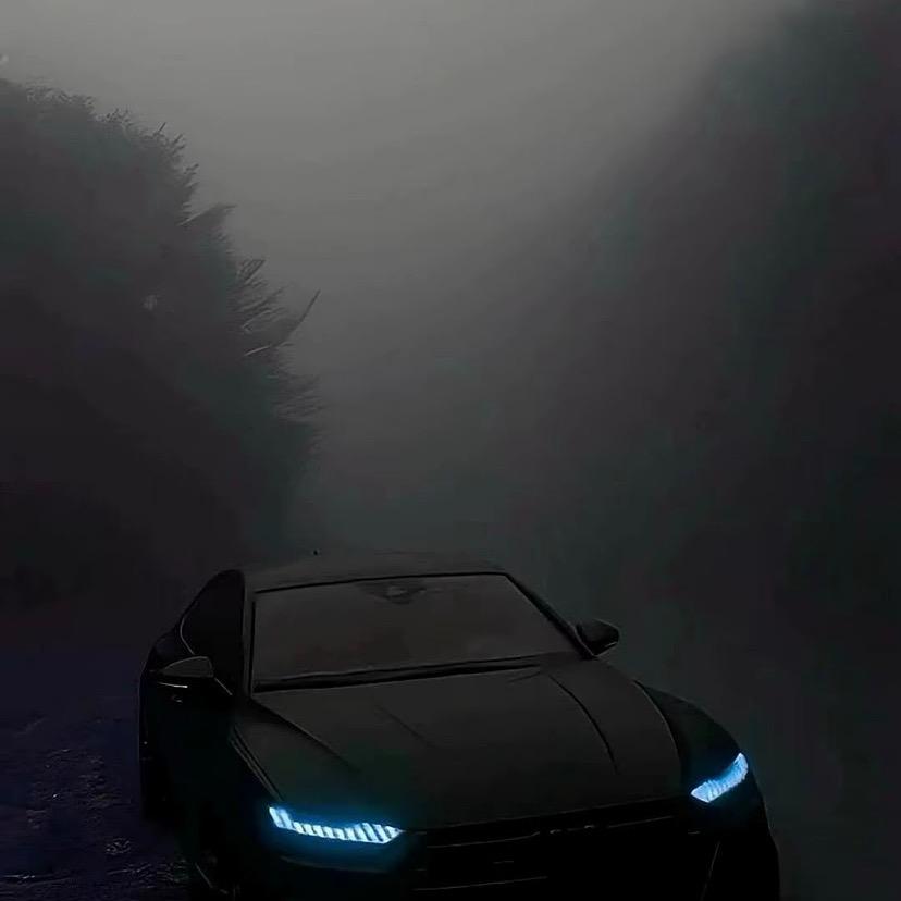 十🍃二