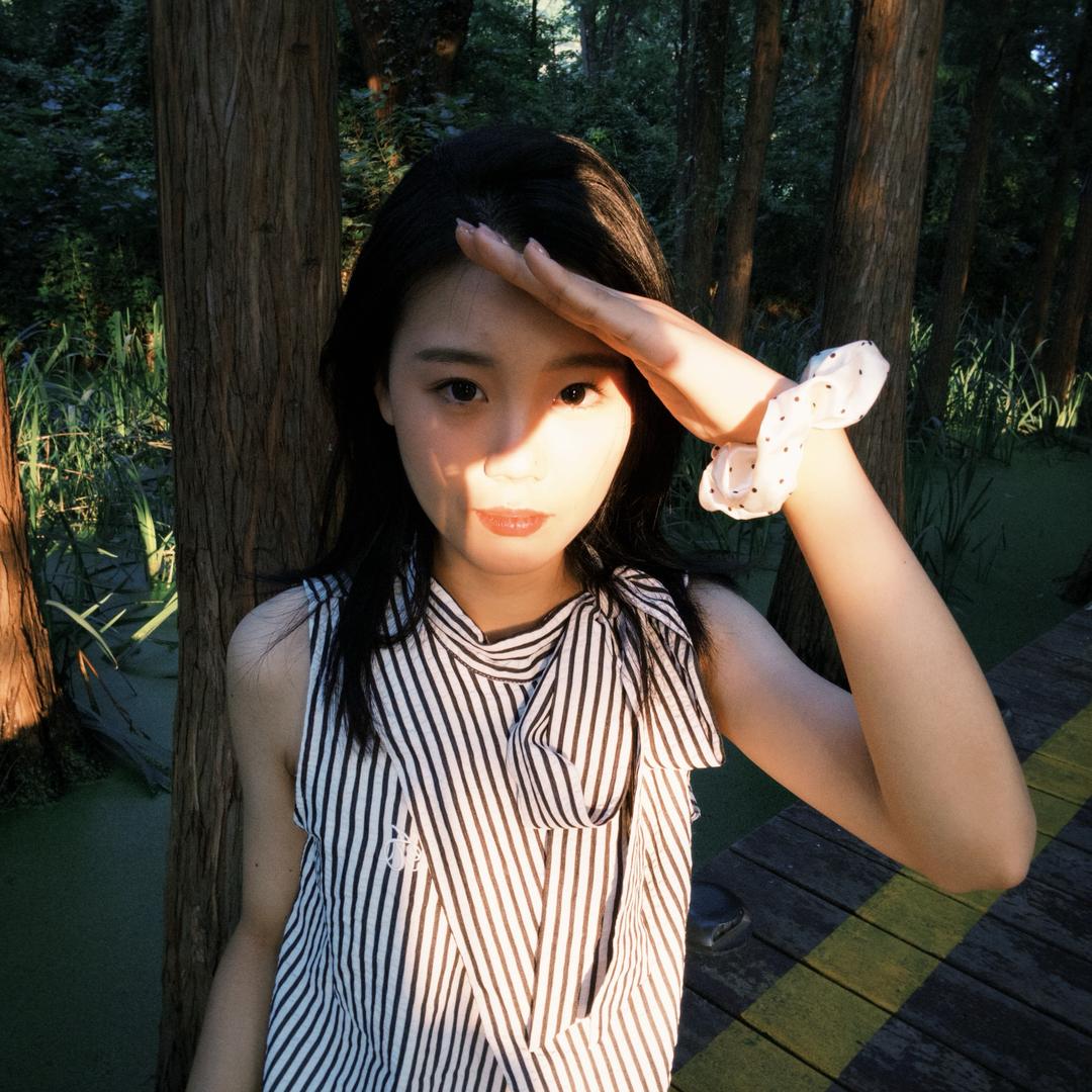 一只崔🦔