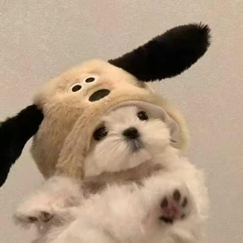 小果冻