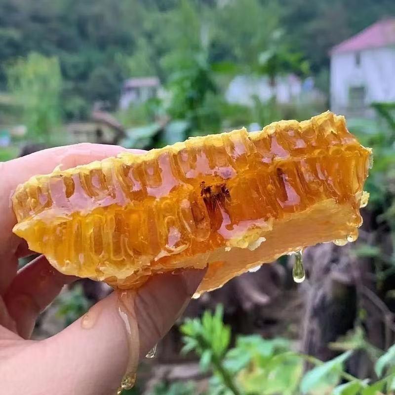 蜜滋源