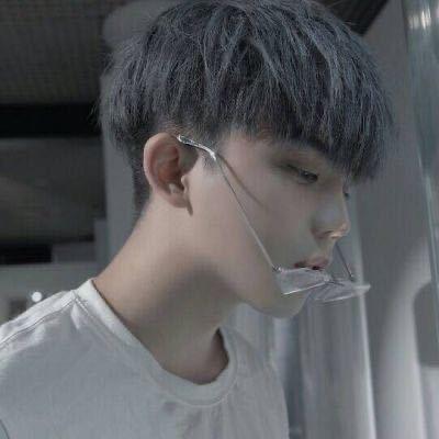 不吃白菜的小楊