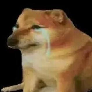 修狗🐶（限流中💔）