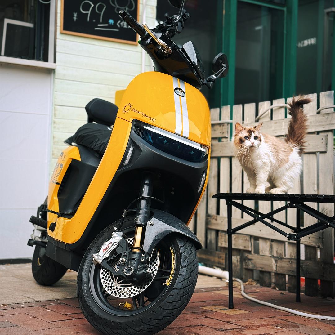 X-MEN专业贴膜工作室